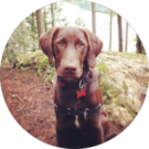 Luke Forand Avatar